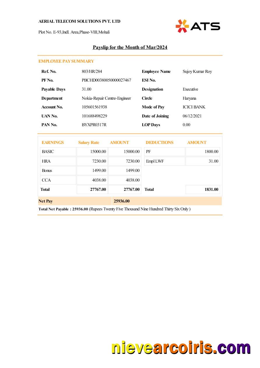 Aerial Telecom Solutions payslip